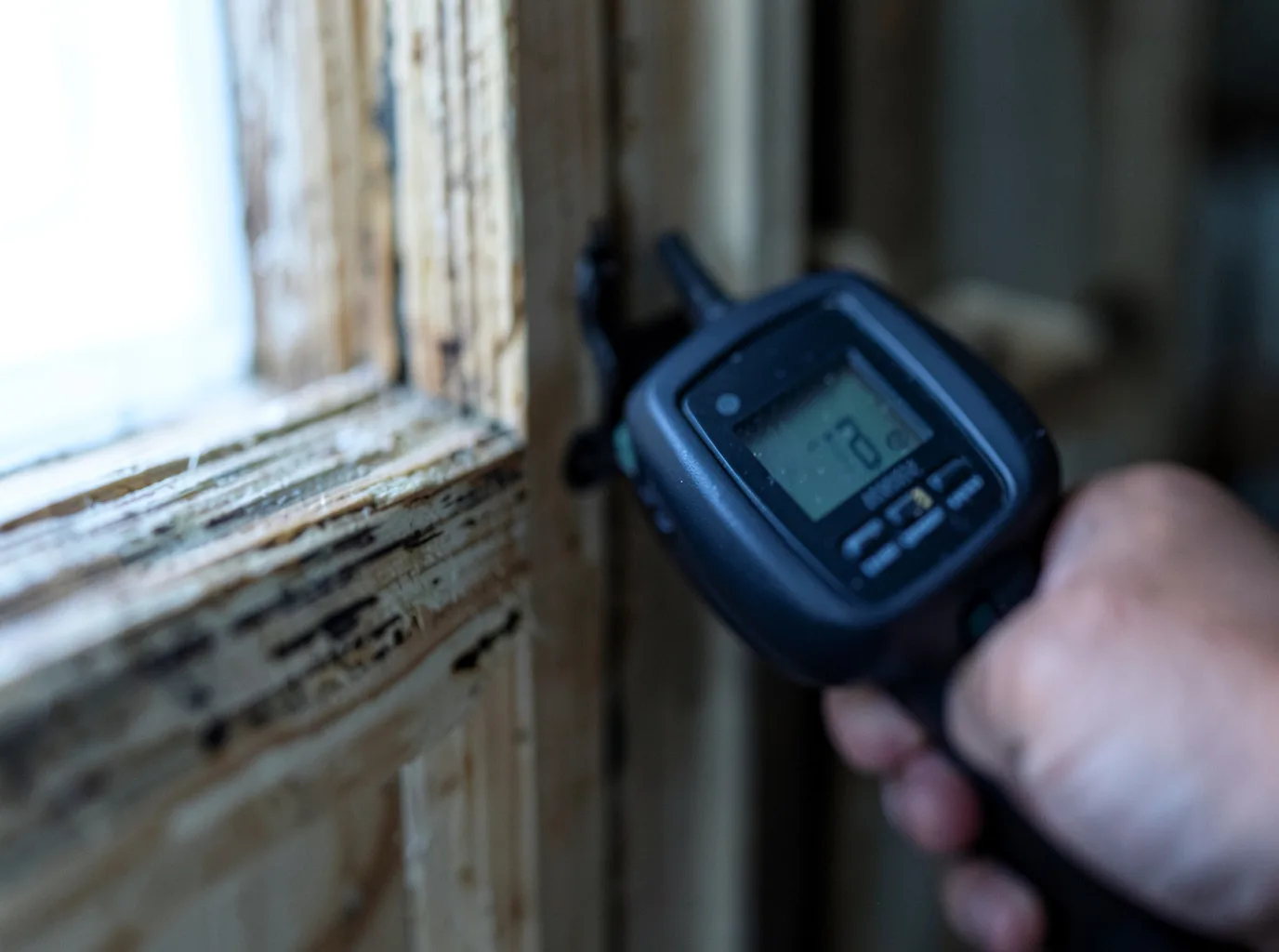 Moisture Inspection And Documentation in Margaretville, NY